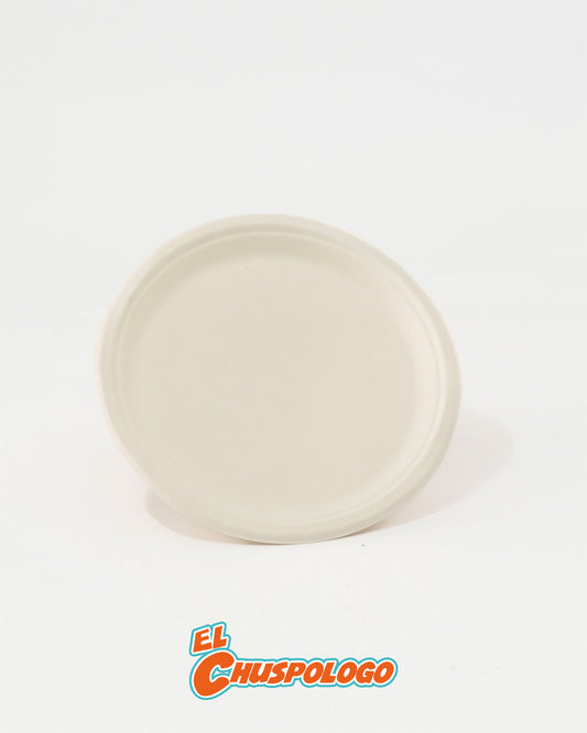 Plato de bagazo de caña